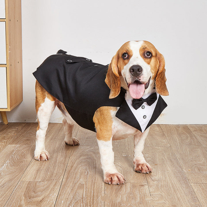 Celebrate Love with Your Furry Friend in Style!
