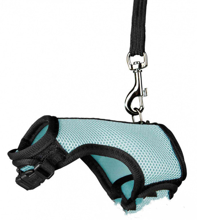 The Ultimate Small Pet Leash for Adventurous Pets