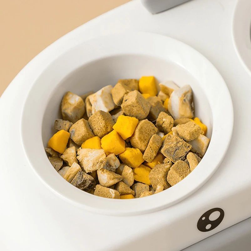 Duck Design Double Pet Bowl for Dogs and Cats: A Must-Have for Your Furry Friends
