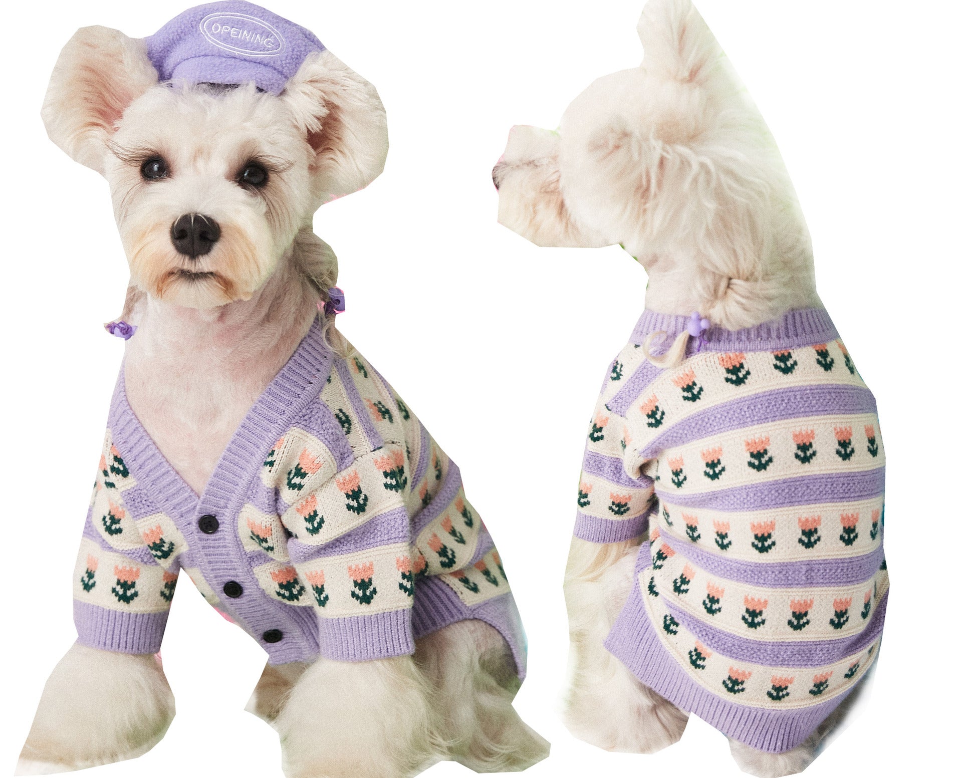 Elevate Your Dog's Wardrobe with the Purple Floral Jacquard Dog Sweater