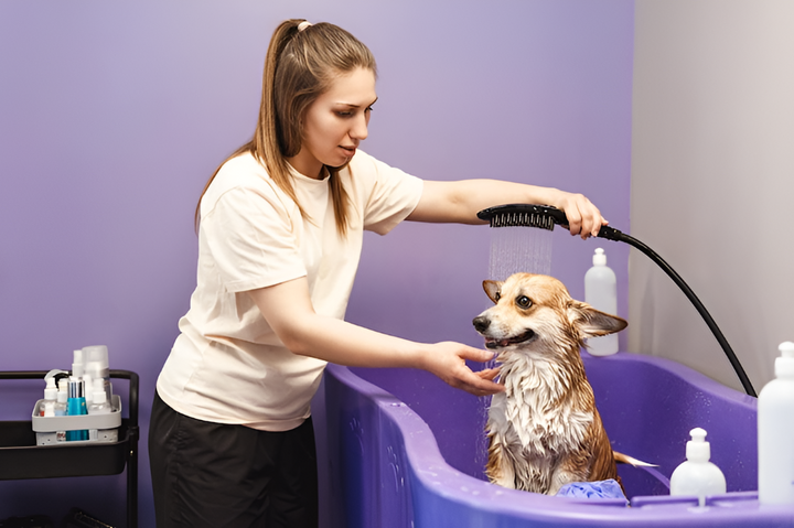 Keeping Your Pet Clean with Proper Grooming