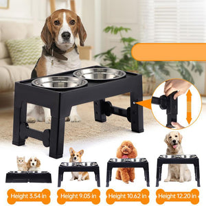 Elevate Your Pet's Dining Experience with Our Elevated Feeding Bowl