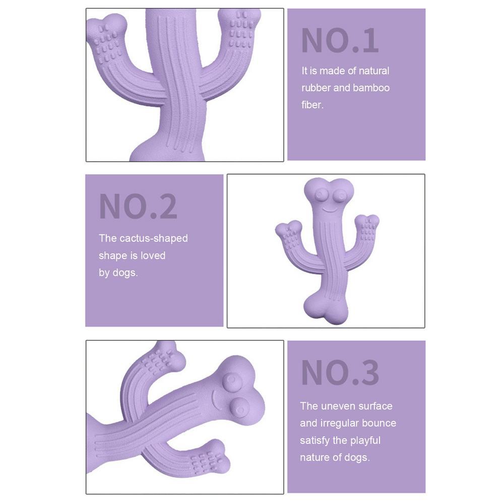 Explore the Ultimate Cactus Chew Toy for Your Furry Friend!