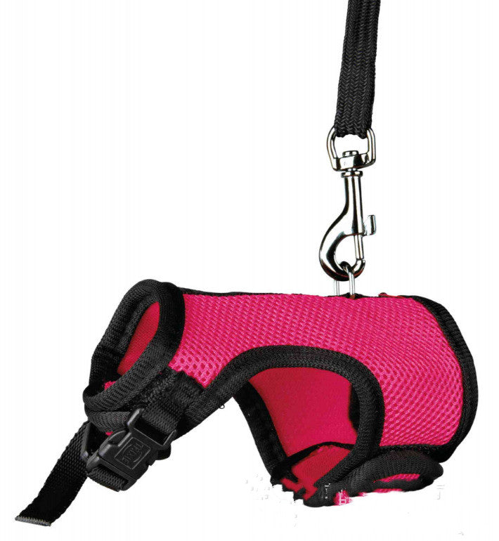 Nylon Harness Leash for Small Pets – Adjustable Chest & Back Set (S–XL)
