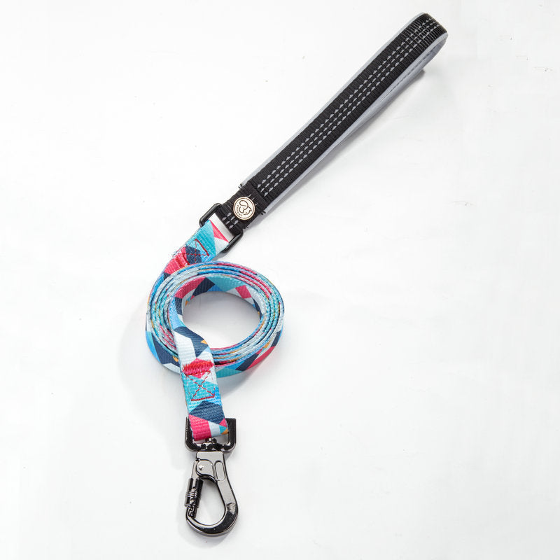 Printed Polyester Dog Leash – Stylish Walking Rope in 5 Designs (S–L)