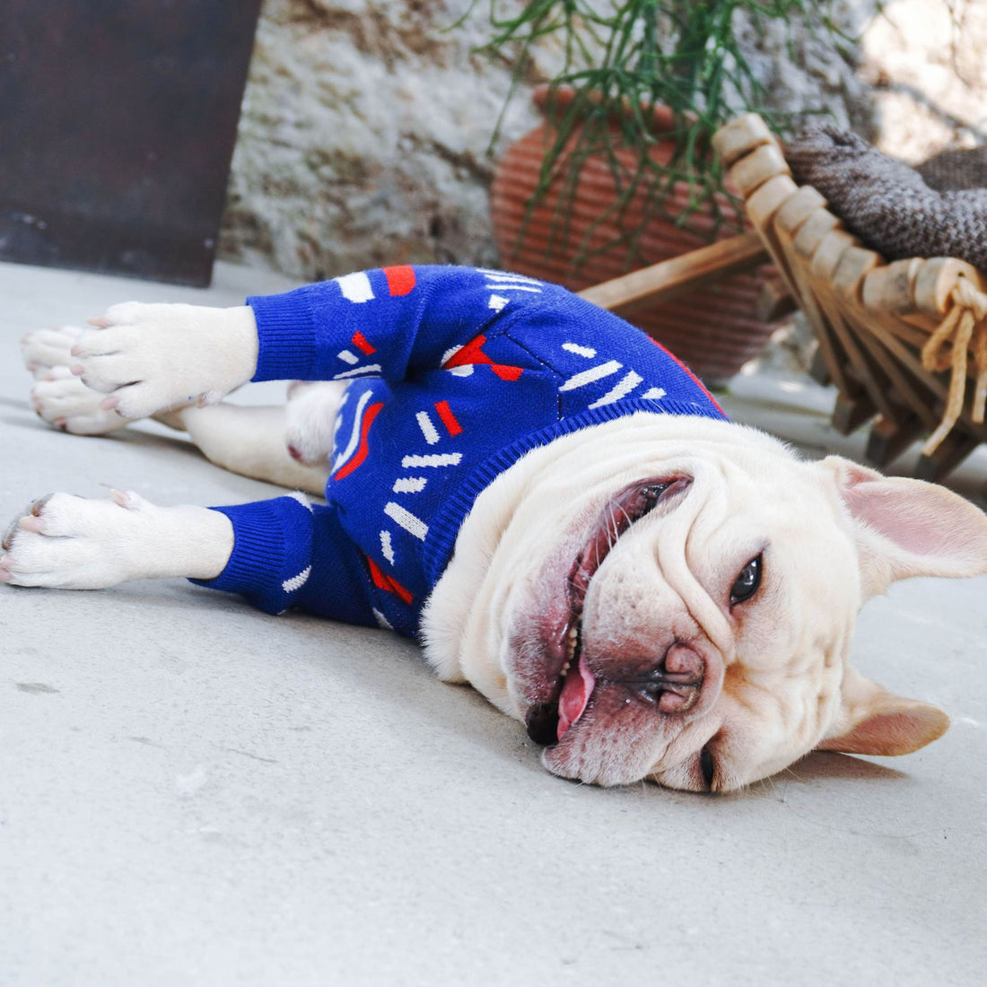 Classic Blue Wool Dog Sweater – Cozy Knit for Small & Medium Dogs (S–XL)