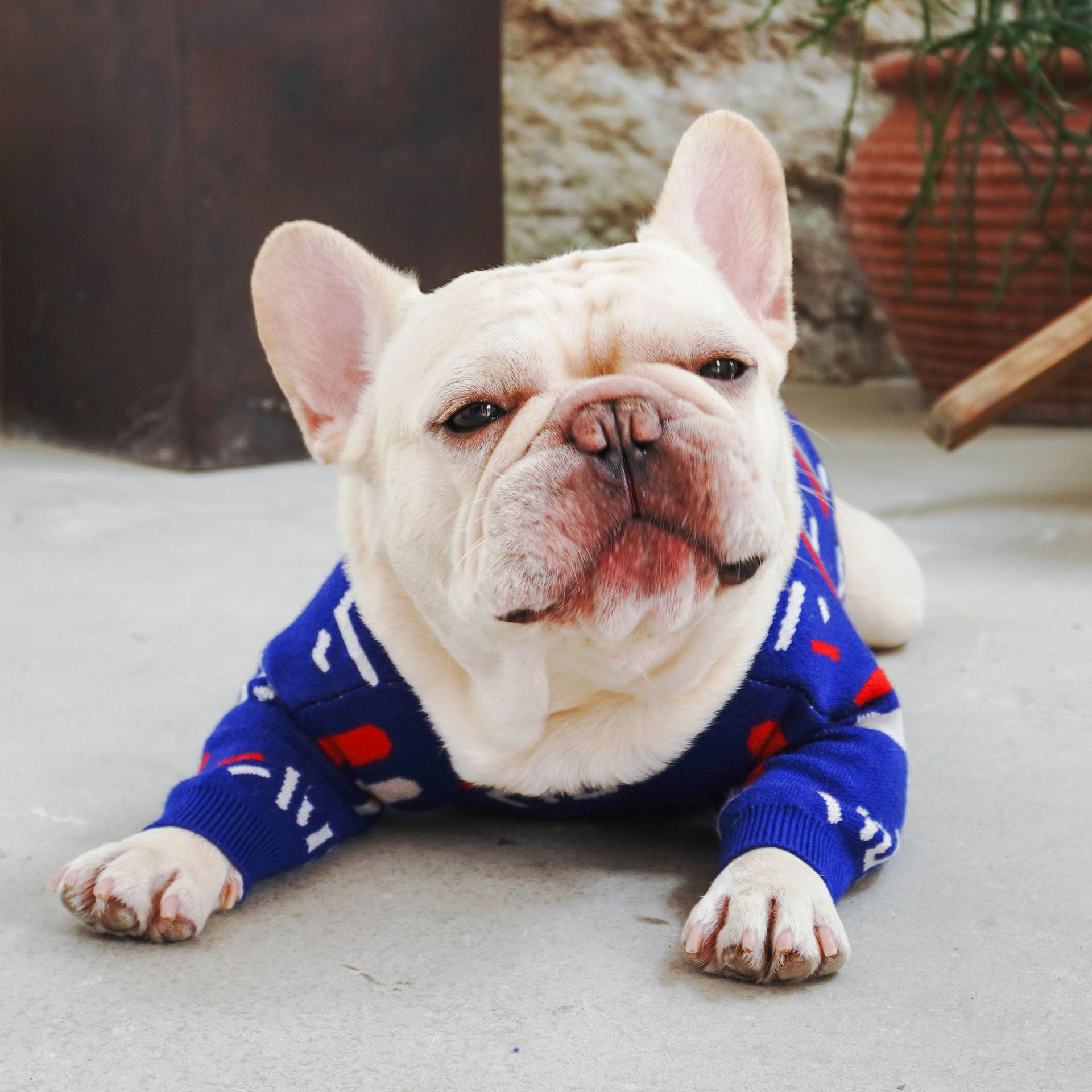 Classic Blue Wool Dog Sweater – Cozy Knit for Small & Medium Dogs (S–XL)