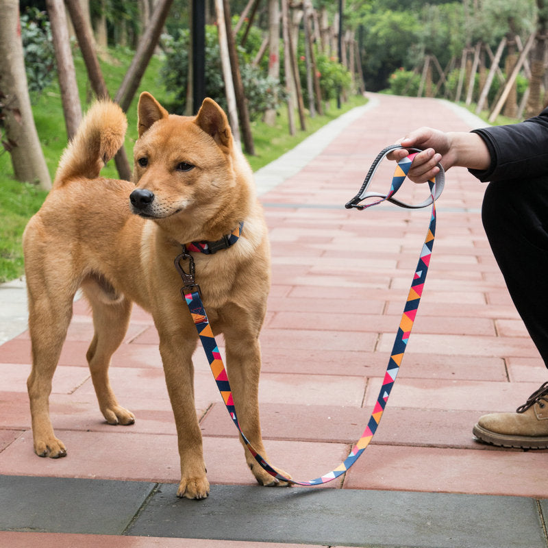 Printed Polyester Dog Leash – Stylish Walking Rope in 5 Designs (S–L)