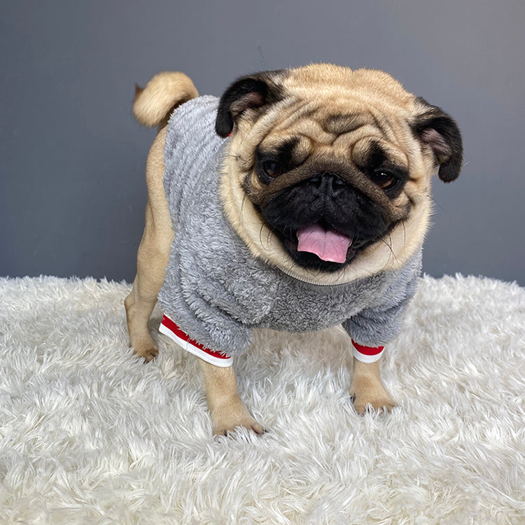 Classic Blue Cotton Dog Sweater – Casual Knit for Medium & Large Dogs (S–XXL)