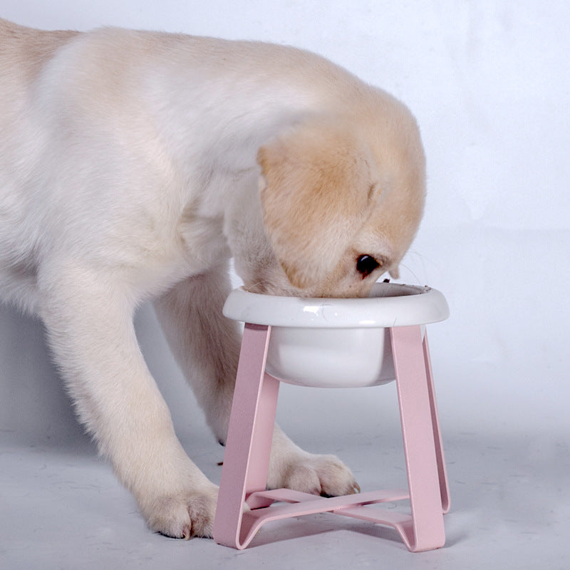 Creative Antislip 2-in-1 Pet Food and Water Bowl with Stand