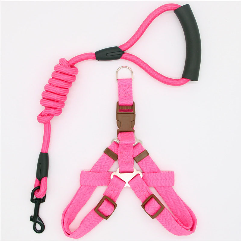 Simple Nylon Dog Leash & Collar Set – 15 Color Styles for All Dog Sizes (S–XL)