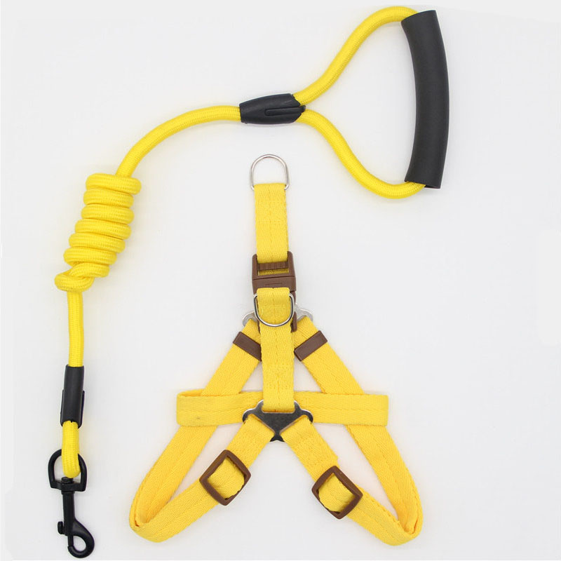 Simple Nylon Dog Leash & Collar Set – 15 Color Styles for All Dog Sizes (S–XL)