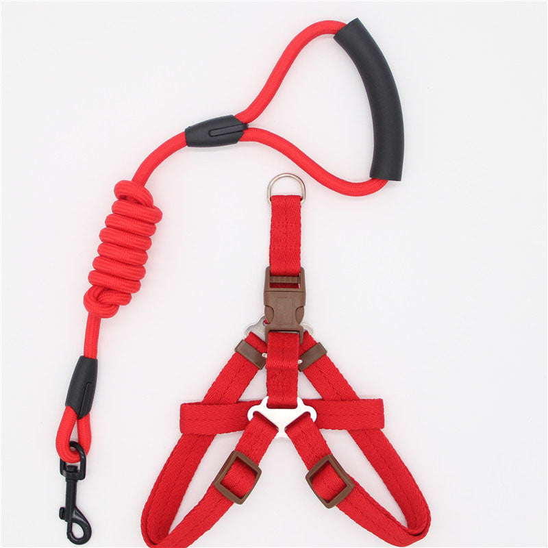 Simple Nylon Dog Leash & Collar Set – 15 Color Styles for All Dog Sizes (S–XL)