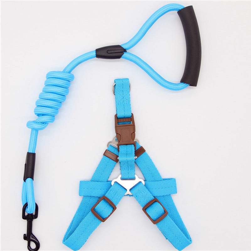 Simple Nylon Dog Leash & Collar Set – 15 Color Styles for All Dog Sizes (S–XL)