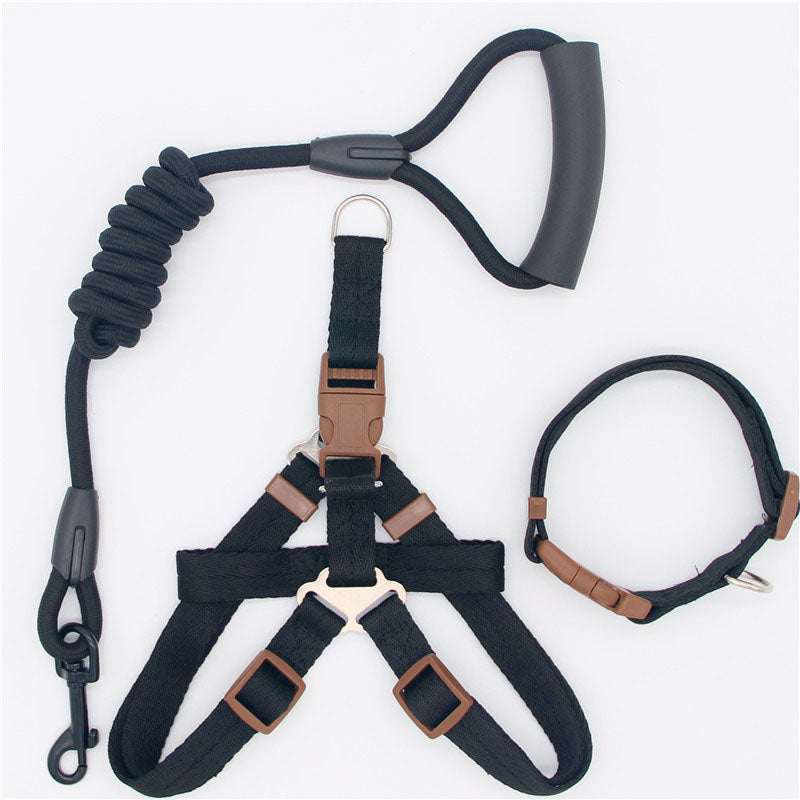 Simple Nylon Dog Leash & Collar Set – 15 Color Styles for All Dog Sizes (S–XL)