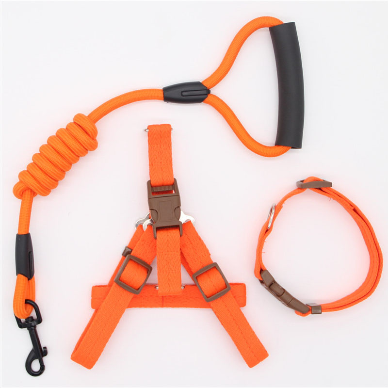 Simple Nylon Dog Leash & Collar Set – 15 Color Styles for All Dog Sizes (S–XL)