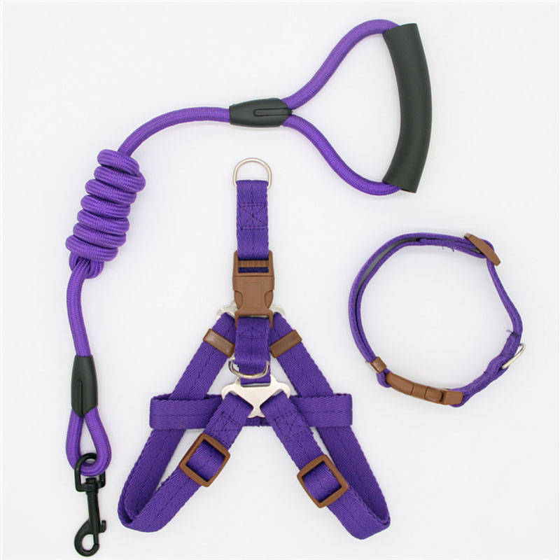 Simple Nylon Dog Leash & Collar Set – 15 Color Styles for All Dog Sizes (S–XL)