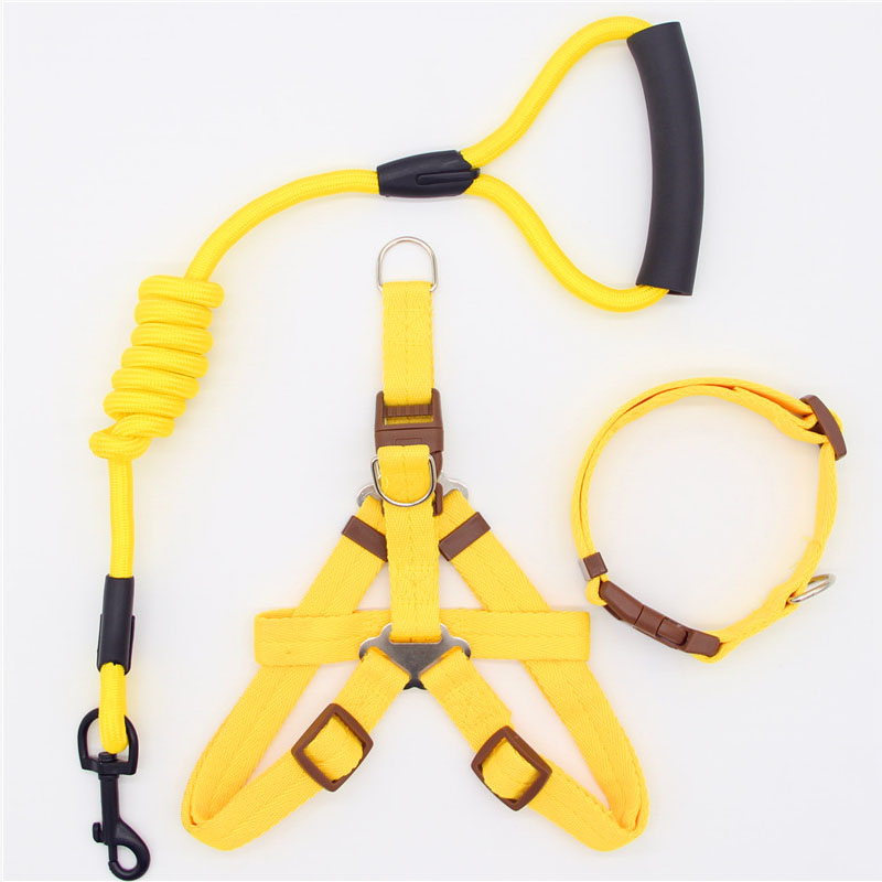 Simple Nylon Dog Leash & Collar Set – 15 Color Styles for All Dog Sizes (S–XL)