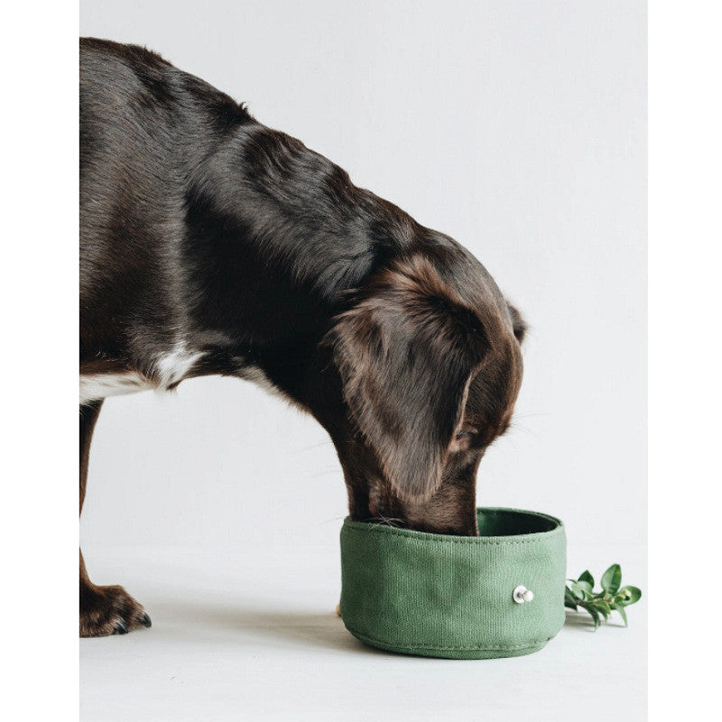 Portable Folding Canvas Dog Bowl for Drinking and Feeding