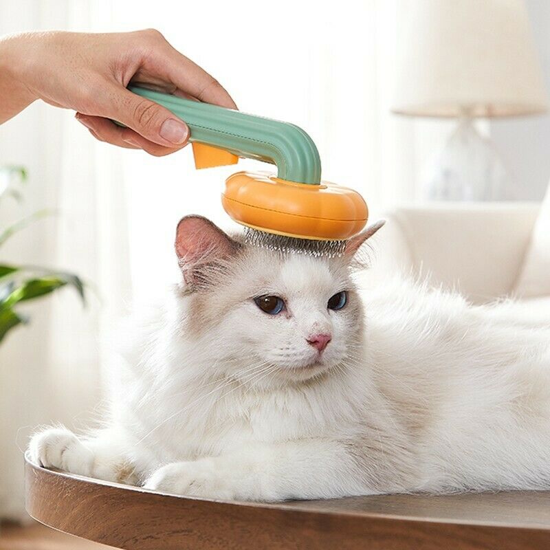 Self-Cleaning Pumpkin Pet Slicker Brush for Dogs and Cats