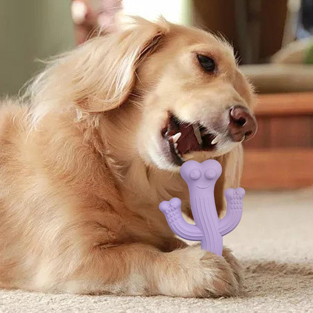Cactus Chew Toy Ultra Durable Interactive Dog Toy