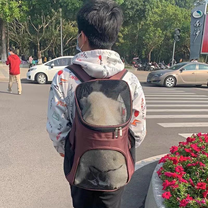 Breathable Portable Dog Carrier Backpack for Small Dogs