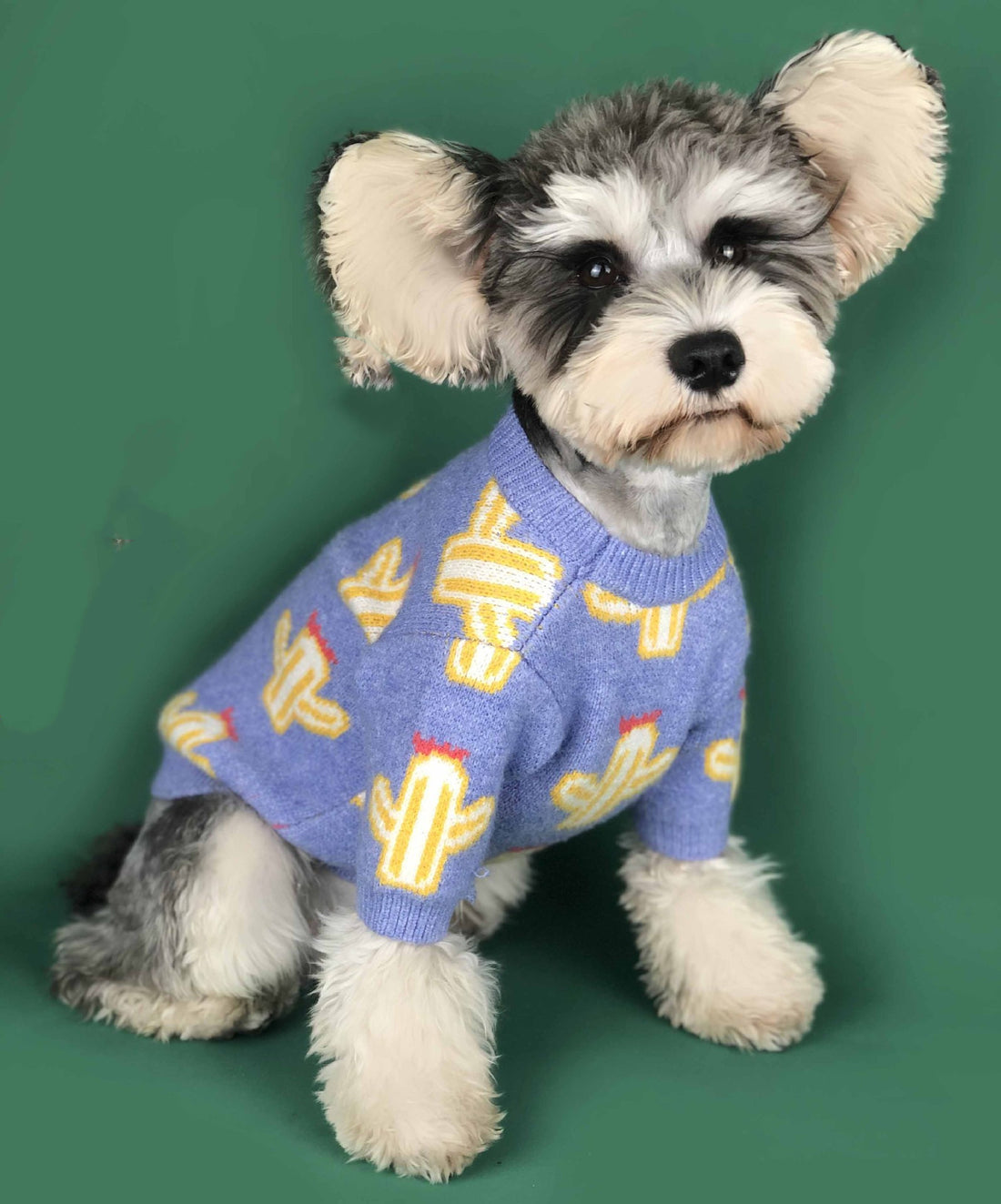 Cactus Print Dog Sweater – Fun Acrylic Knit in Purple & Yellow (S–XXL)