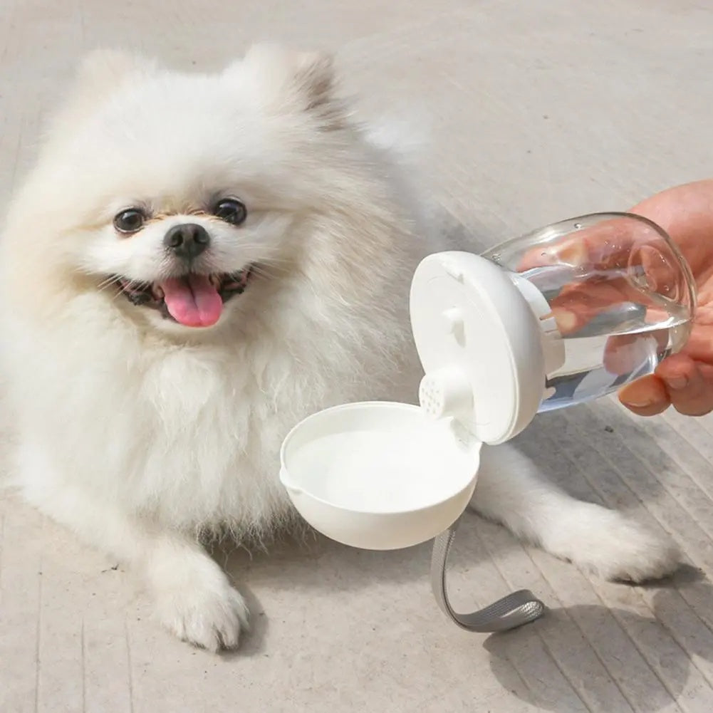 Portable Pet Water Bottle with Lanyard for Cats and Dogs