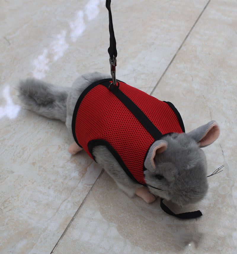 Nylon Harness Leash for Small Pets – Adjustable Chest & Back Set (S–XL)