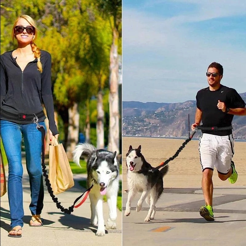 Adjustable Nylon Jogging Dog Leash – Hands-Free Running Harness in 3 Colors