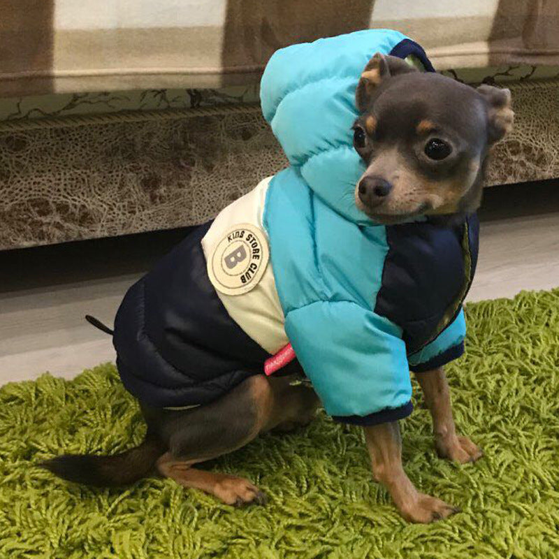 Waterproof Cotton-Padded Dog Jacket – Warm Winter Coat in 5 Colors (Size 10–26)