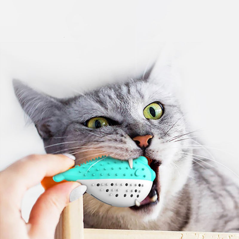 Mint Silicone Cat Chew and Teaser Toy for Cats and Kittens