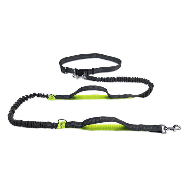 Adjustable Nylon Jogging Dog Leash – Hands-Free Running Harness in 3 Colors