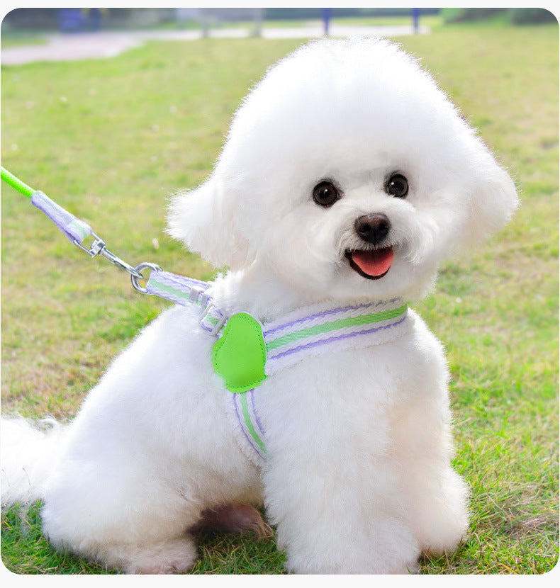 Breathable Summer Dog Harness & Leash Set – Mesh Vest for Small & Medium Dogs (S–L)