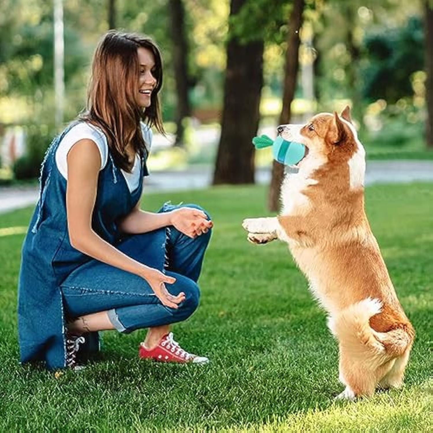 Interactive Treat Dispensing Dog Puzzle Toy Durable Rubber Chew Ball