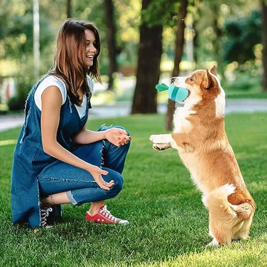 Interactive Treat Dispensing Dog Puzzle Toy Durable Rubber Chew Ball