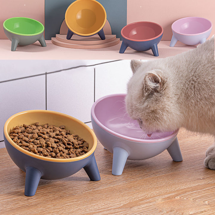Pet Feeding Bowl with Stand for Cats, Dogs, and Small Animals