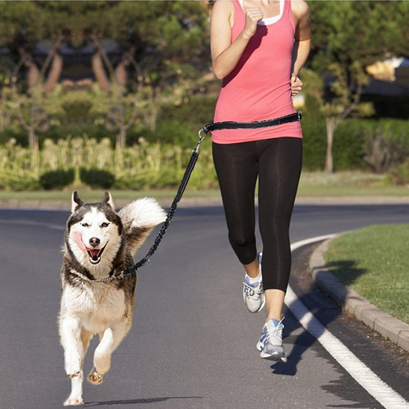 Adjustable Nylon Jogging Dog Leash – Hands-Free Running Harness in 3 Colors