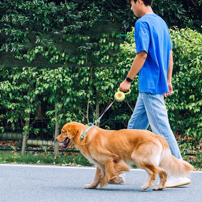 Reflective Retractable Dog Leash – ABS Auto-Retracting Walking Rope in 3 Colors