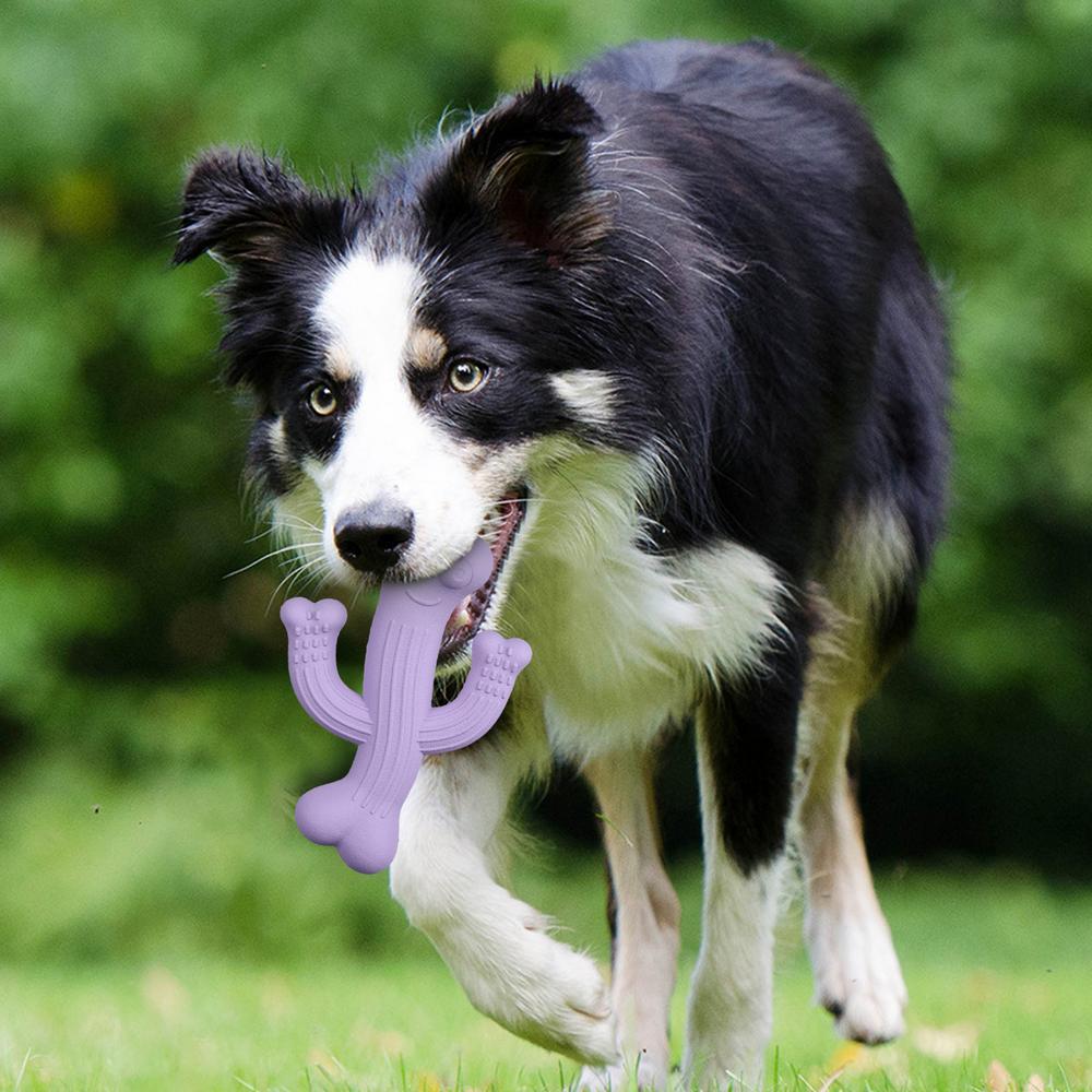 Cactus Chew Toy Ultra Durable Interactive Dog Toy