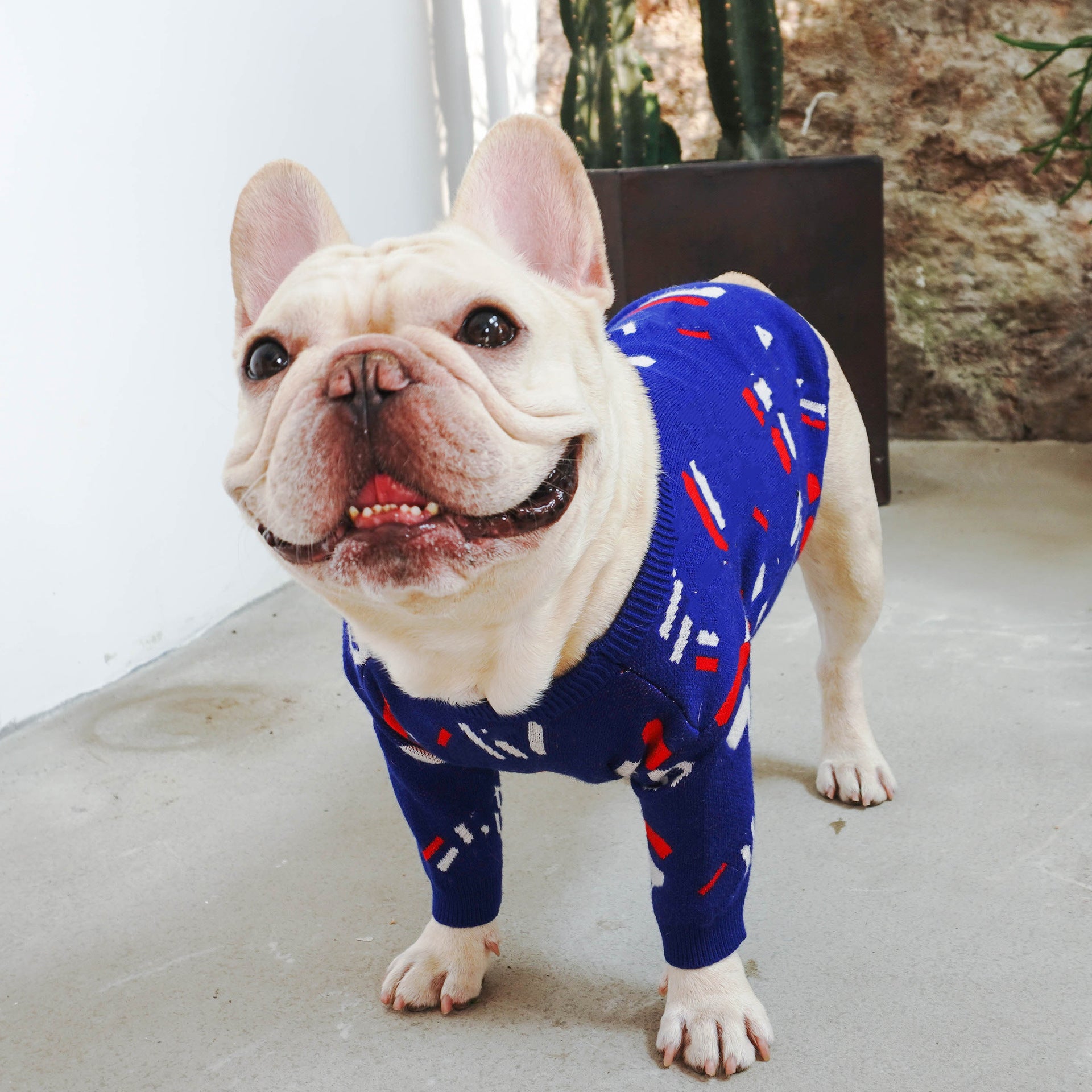Classic Blue Wool Dog Sweater – Cozy Knit for Small & Medium Dogs (S–XL)