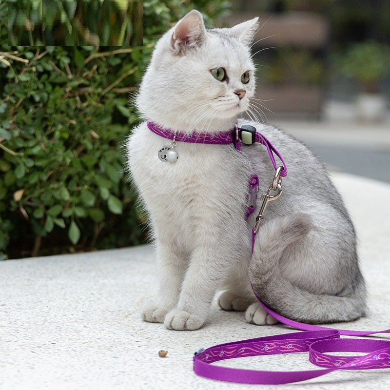Cat & Small Dog Chest Harness with Bell – Polyester Mesh Leash Set in 5 Colors (S–L)