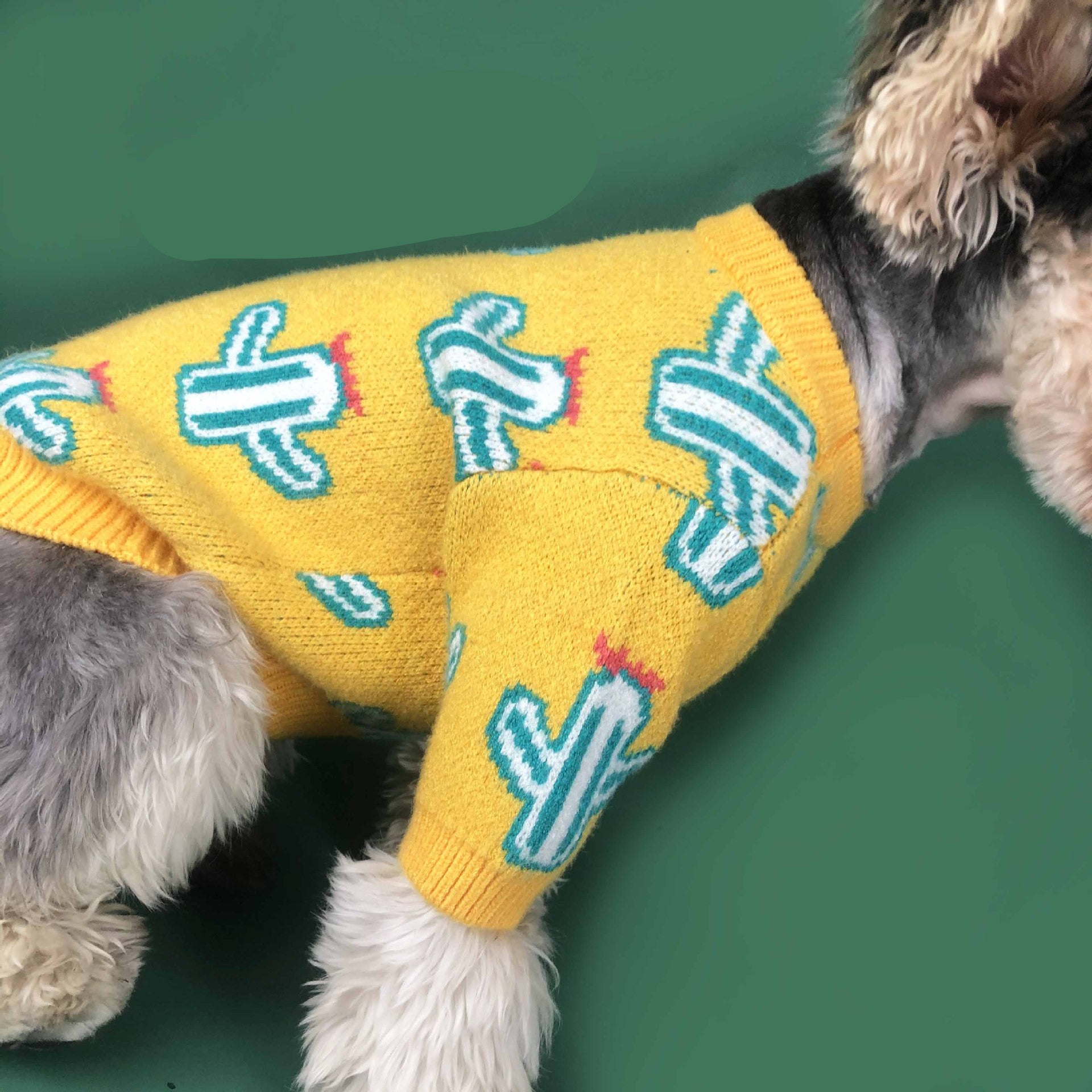 Cactus Print Dog Sweater – Fun Acrylic Knit in Purple & Yellow (S–XXL)