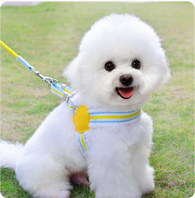 Breathable Summer Dog Harness & Leash Set – Mesh Vest for Small & Medium Dogs (S–L)