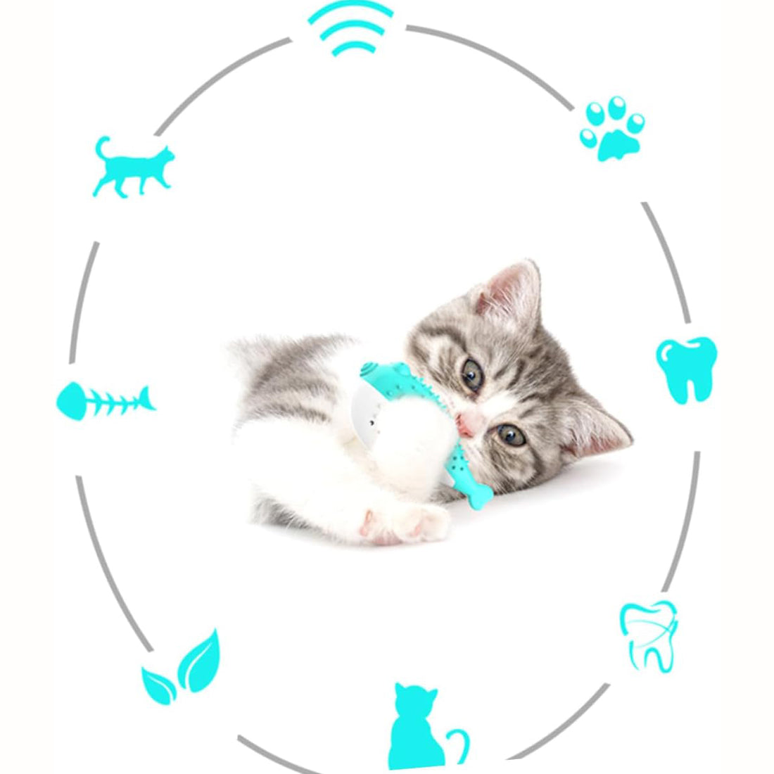 Mint Silicone Cat Chew and Teaser Toy for Cats and Kittens