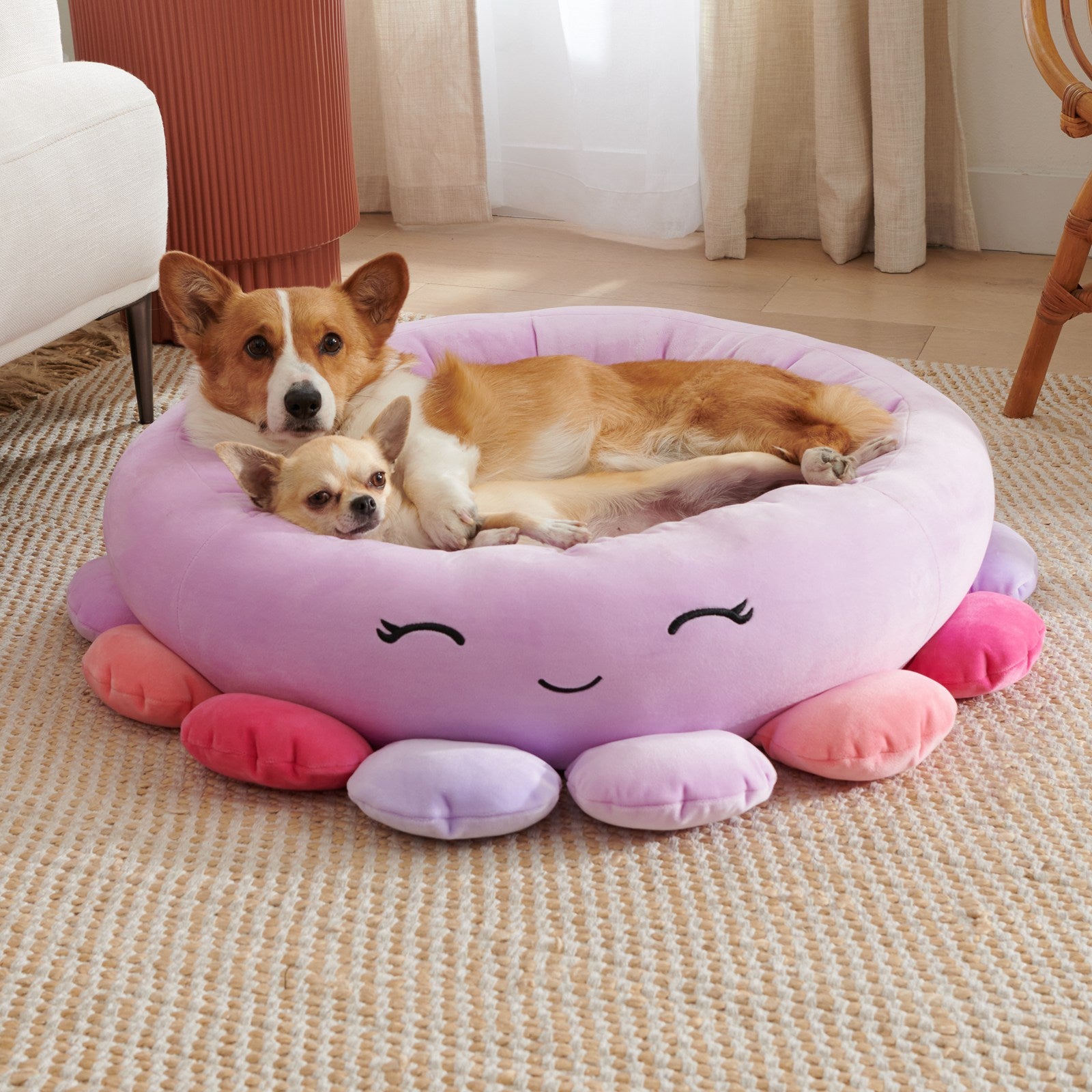 Novelty Animal & Fruit Print Dog Bed – Super Soft Plush Cushion (26 in)