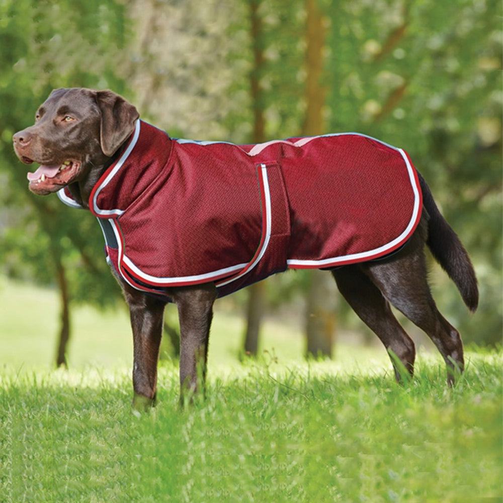 Waterproof Leisure Dog Jacket – Warm Polyester Coat for Large Dogs (L–XXXXL)