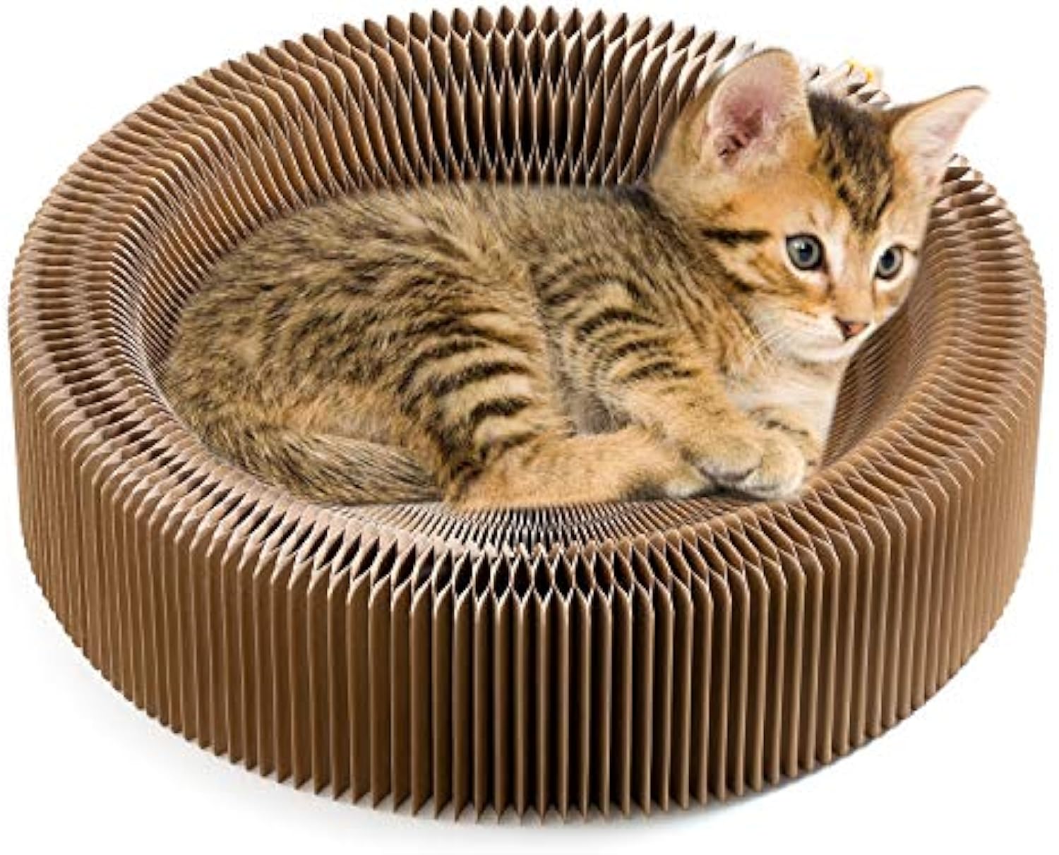 Collapsible Cardboard Cat Scratcher Lounge – Round Corrugated Scratching Bed