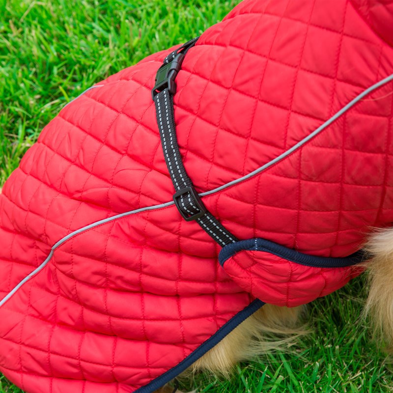 Adjustable Cotton Dog Jacket – Warm Winter Coat in Red & Navy (S–2XL)