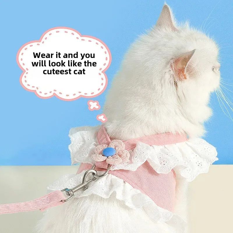 Safety Harness & Leash Set for Dogs & Cats – Durable Daily Walking Set in Blue & Pink (XS–XL)